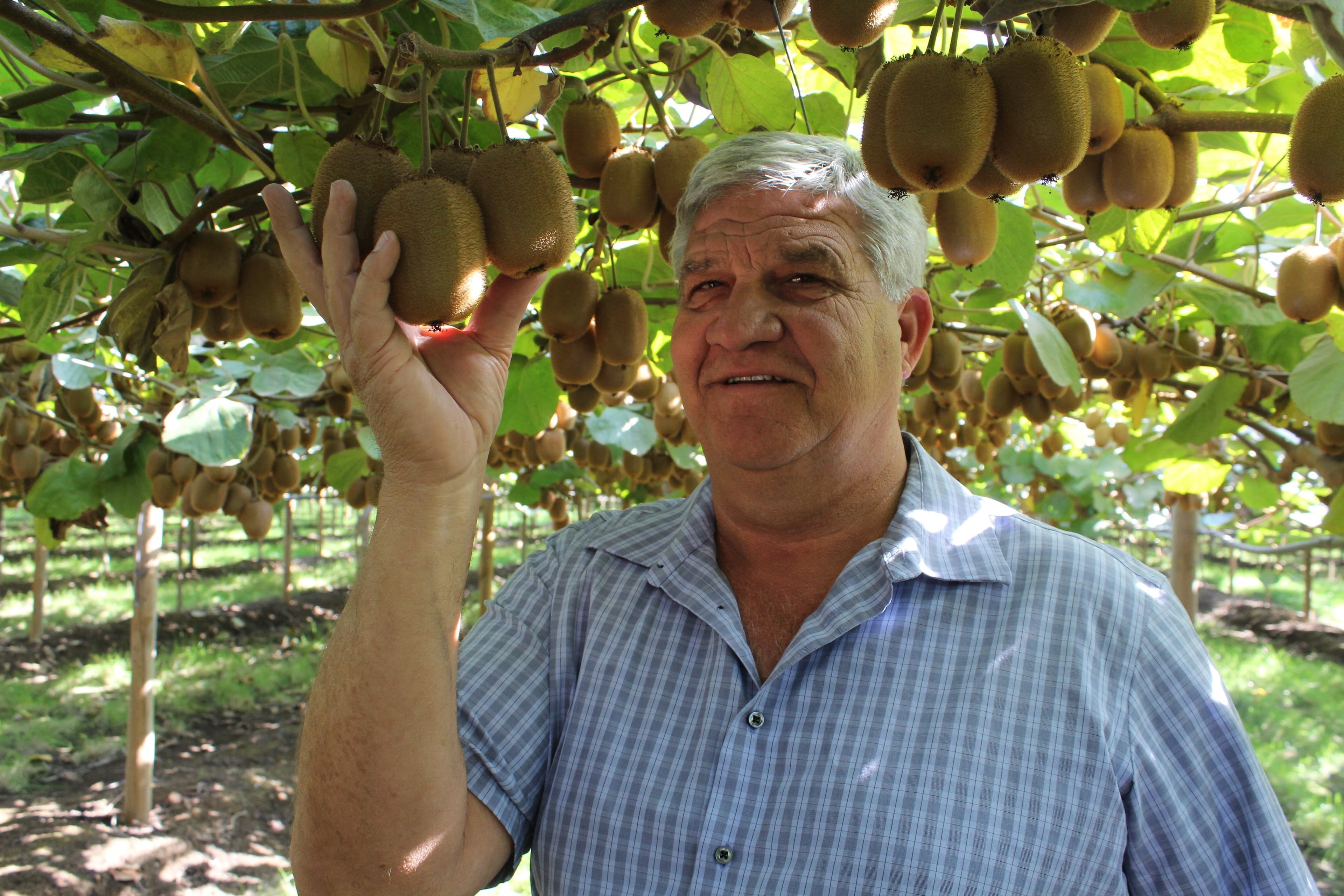 Introducing the Mega Kiwi with California Grower Jerry Kliewer