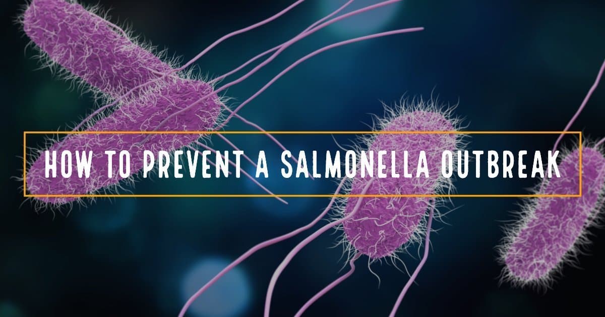 Salmonella - The Most Common Bacterial Foodborne Disease