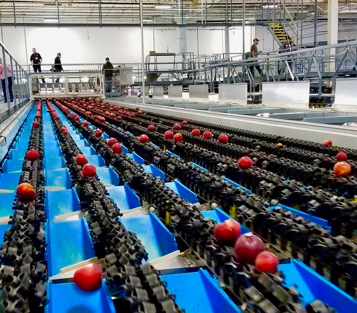 Wawona packing company featured