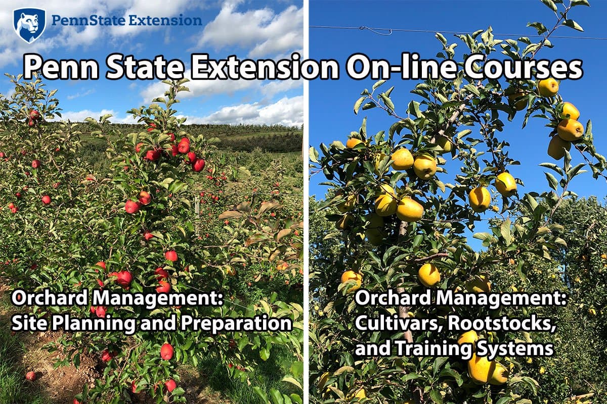 Penn State Extension Offers Self-paced Course on Planning, Establishing Orchards