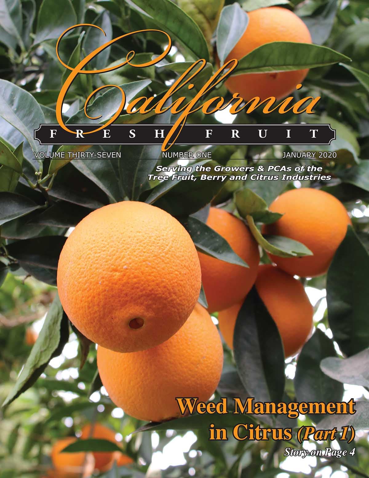 Read January 2020 Issue