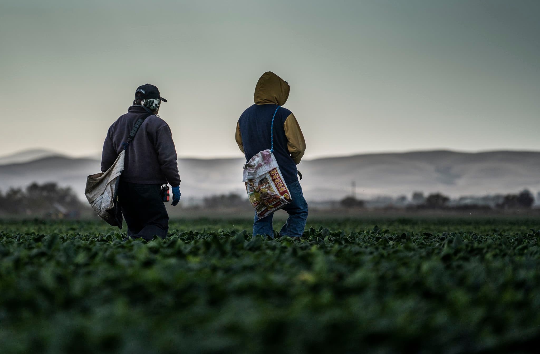 California Agricultural Employers, Workers Approach Smoke Concerns Differently