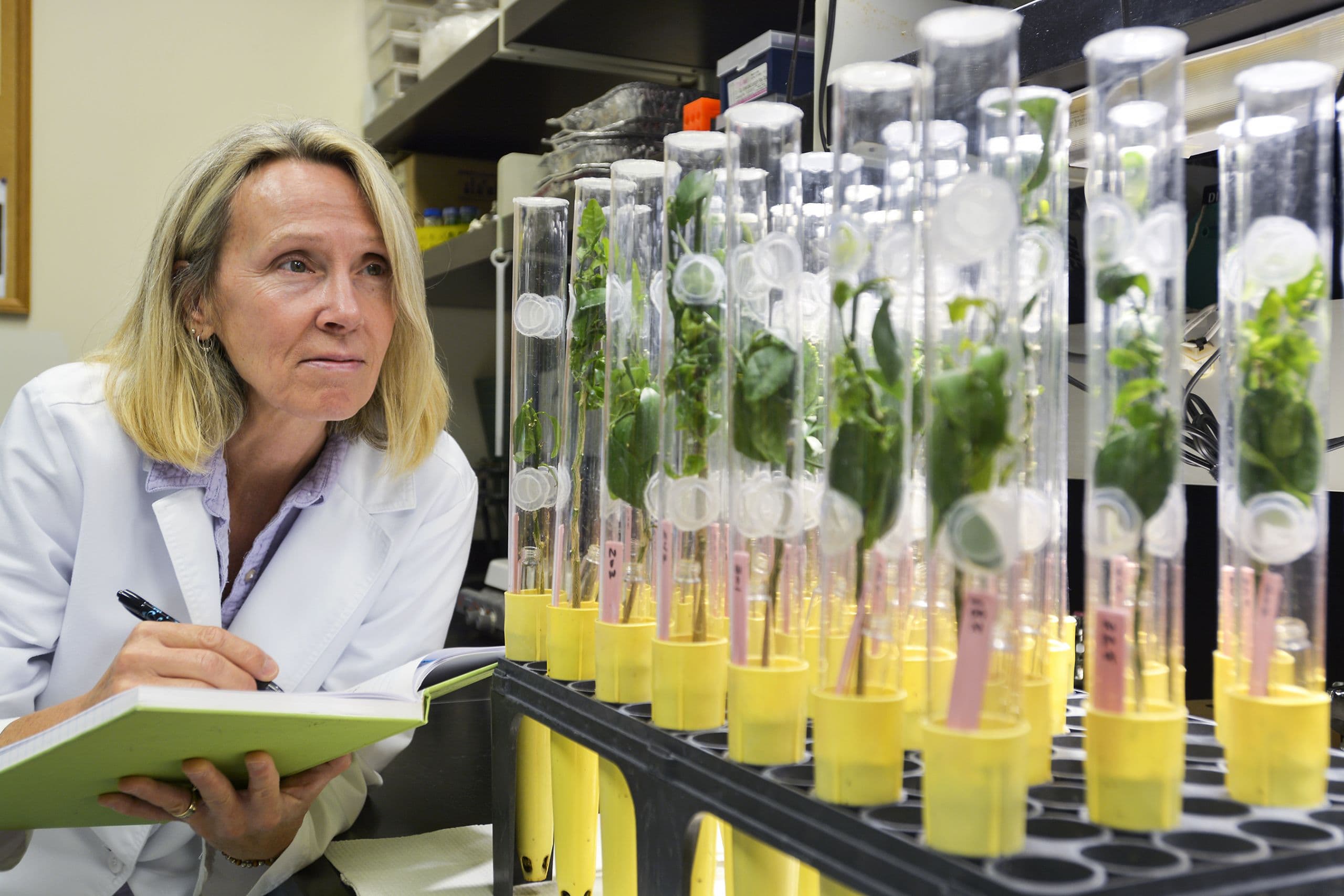 Certis USA Donates Another $20,000 to Help Citrus Industry Fight Its Greatest Threat