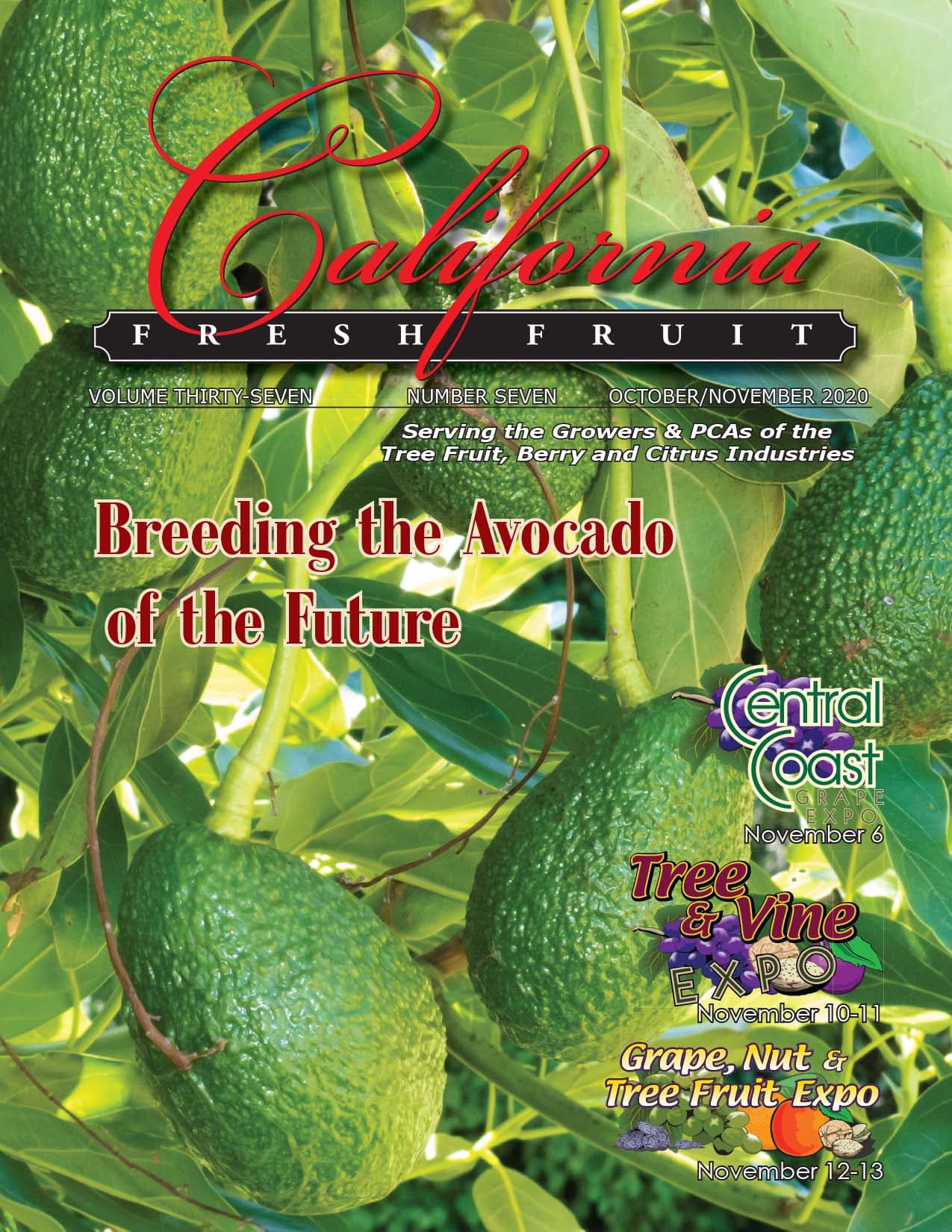 READ - October/November Issue