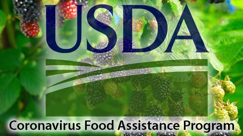 USDA Announces New & Expanded Pandemic Assistance for Farmers