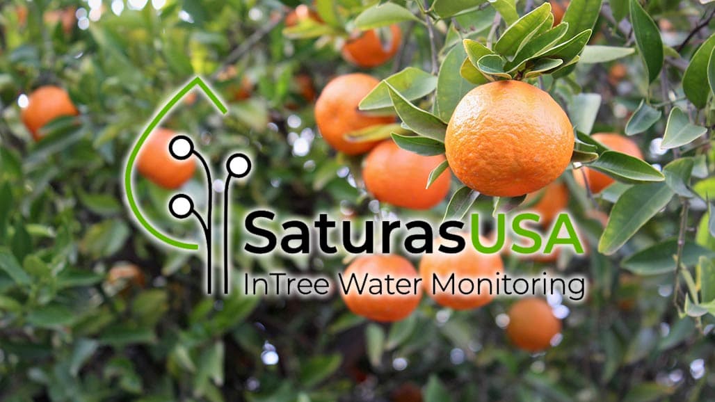 Monitoring Stem Water Potential in Citrus (Case Studies with StemSense)