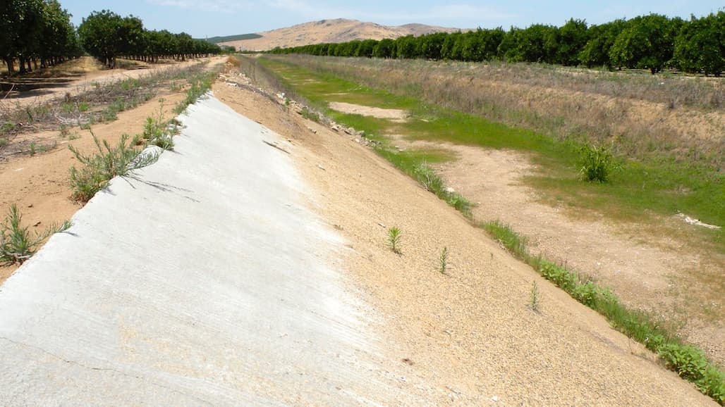 California Processing Tomato Crop Forecast Below May’s Expectation