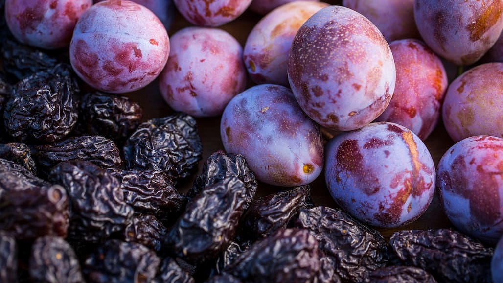 New Prune Varieties Show Promise in Reducing Fruit Drying Costs