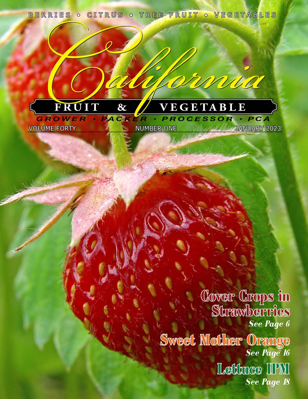 READ – January 2023 Issue
