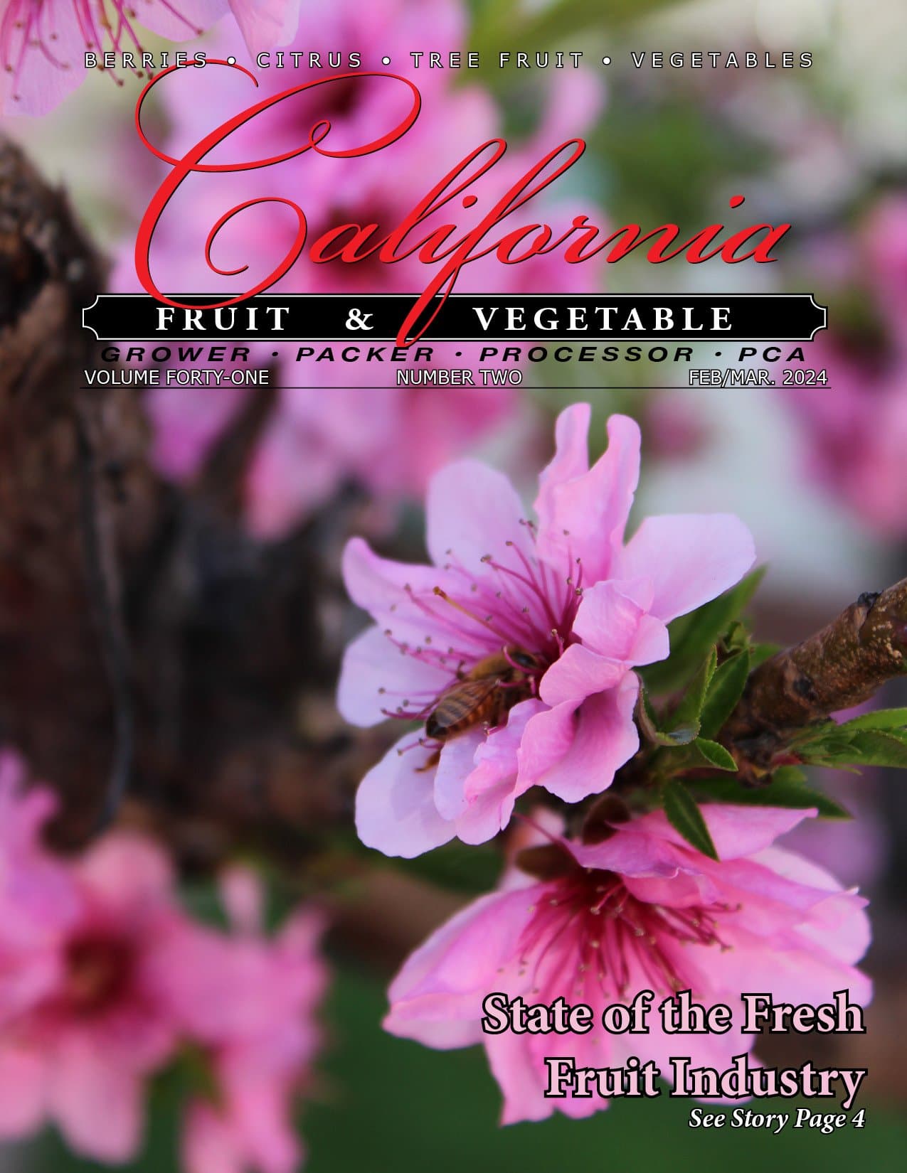 READ - February/March 2024 Issue