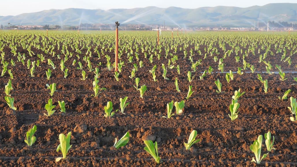 Comprehensive List of Nitrogen Removal Coefficients for Crops Grown in Coastal California