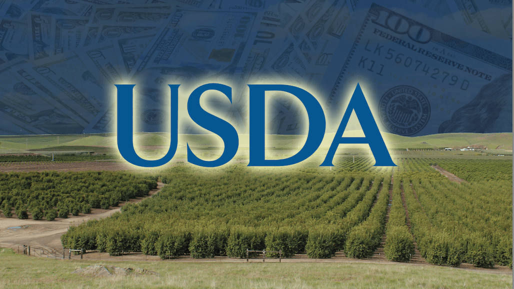American Olive Oil Producers Association Selected for $2M Study of U.S. Olive Oil