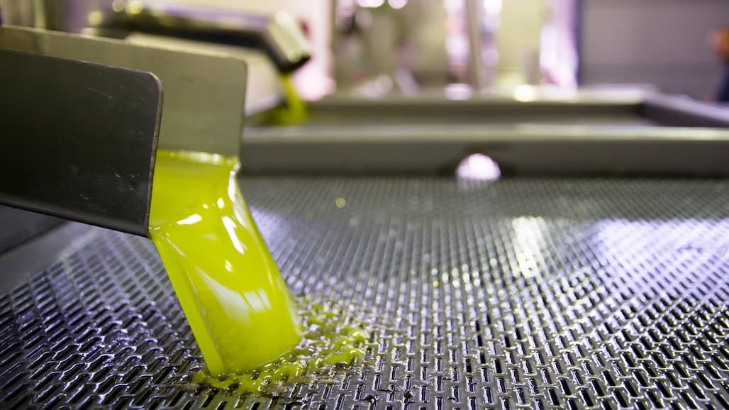 Student Efforts are at the Heart of  Cal Poly Olive Oil Production