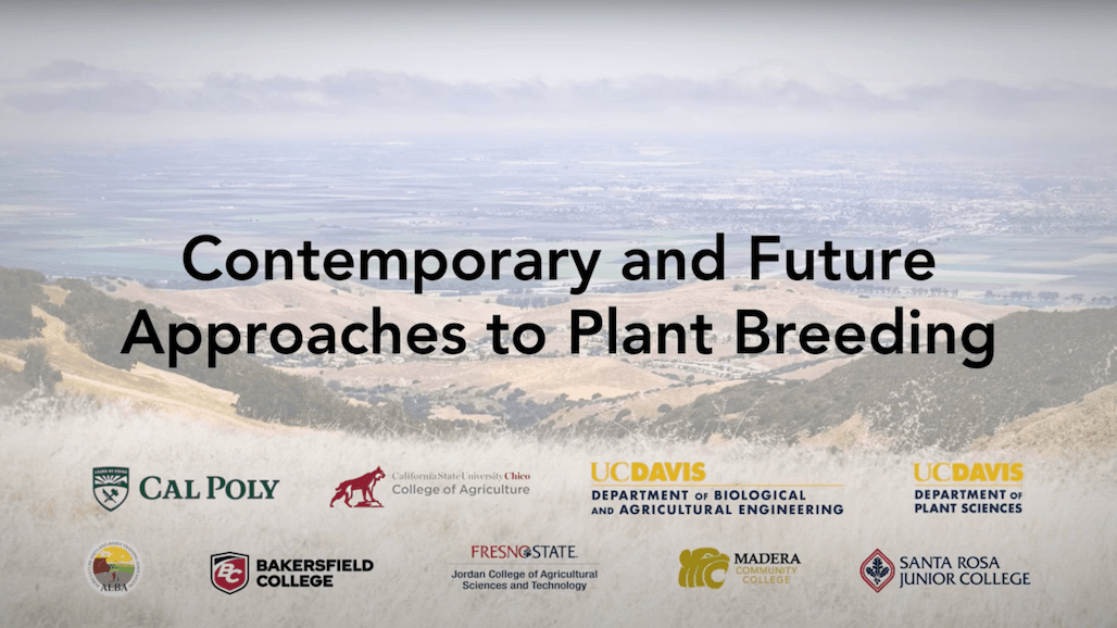 New Video Series to Sharpen Skills of California Vegetable Growers