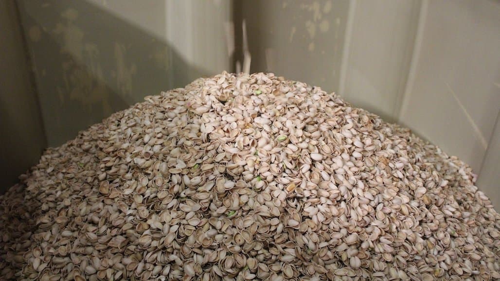 Turning Food Scraps into Opportunities