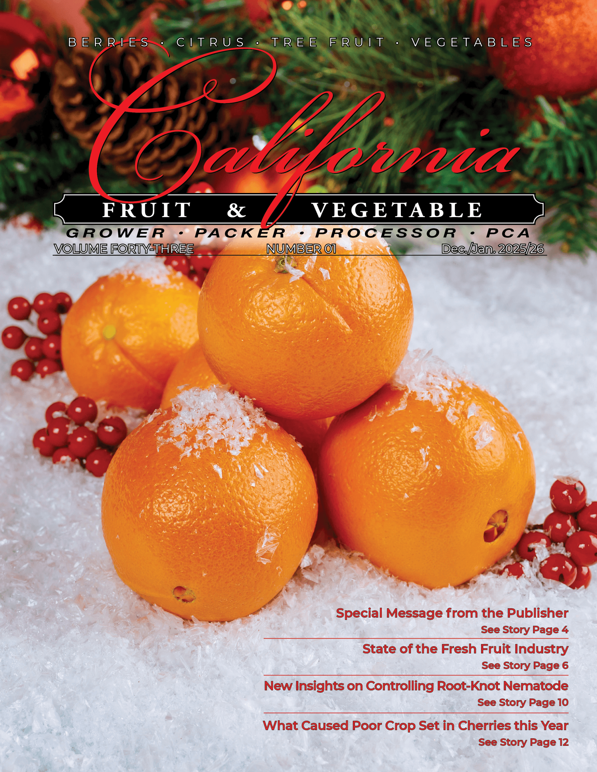 READ – December/January 2025/26 Issue