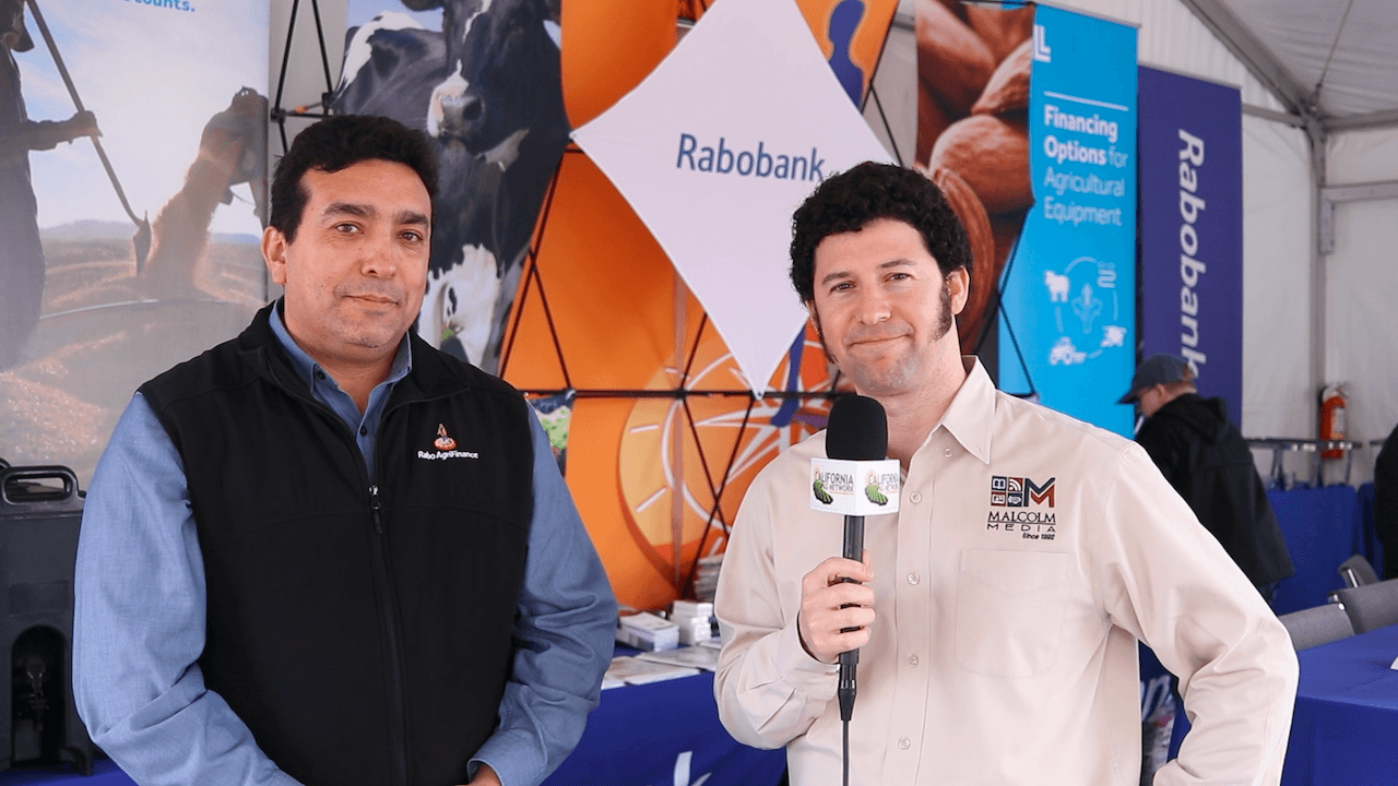 Opportunities Emerge for California Blueberries