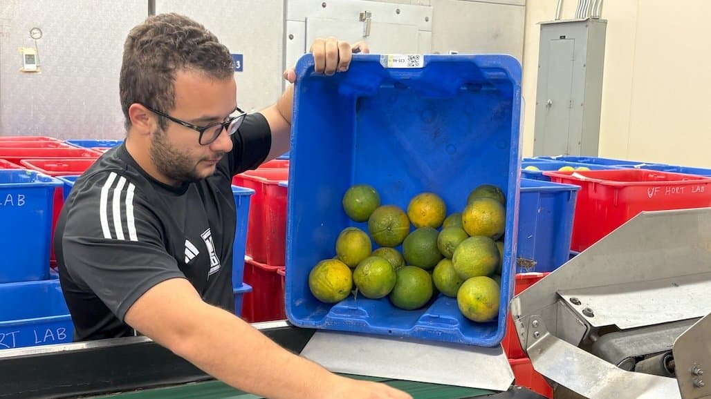 Florida Citrus Industry Makes Progress in Fight Against Huanglongbing