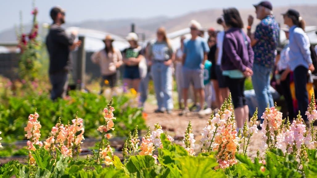 Registration Open for 2026 California Agritourism Summit