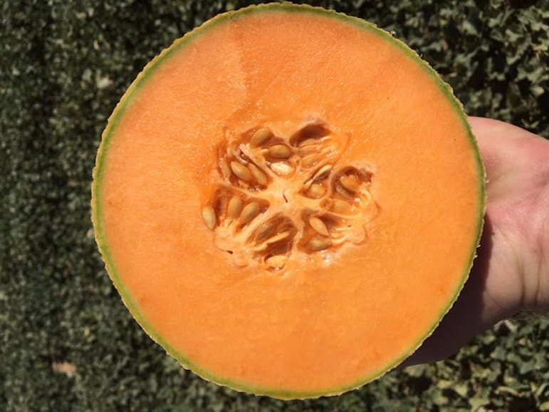 California Cantaloupe Industry Reports Temporary Supply Shortage