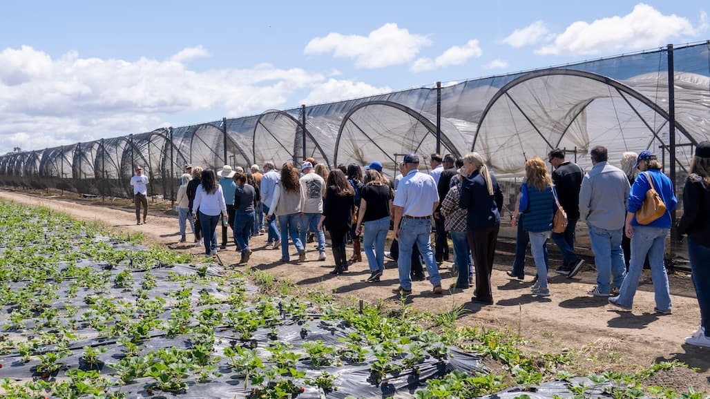 Date Announced For The 14th Annual Ventura County Farm Day