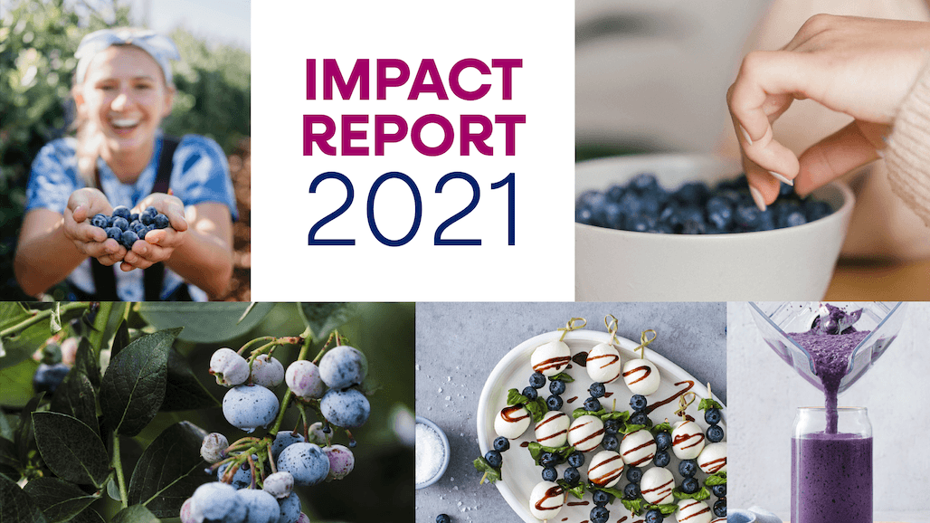 US Blueberry Impact Report Highlights Industry Growth, Innovation