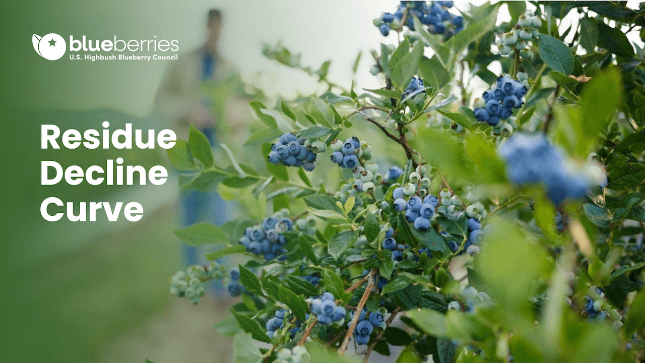 Establishing Residue Decline Curves for Pesticides in Blueberries