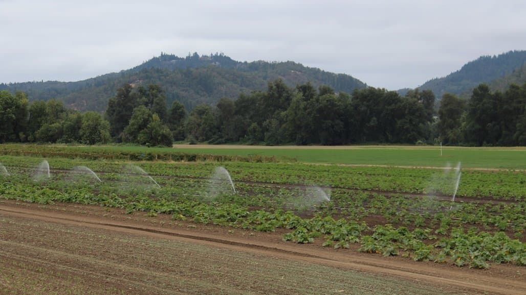 Practical Training on Nitrogen Management in Organic Production of Annual Crops